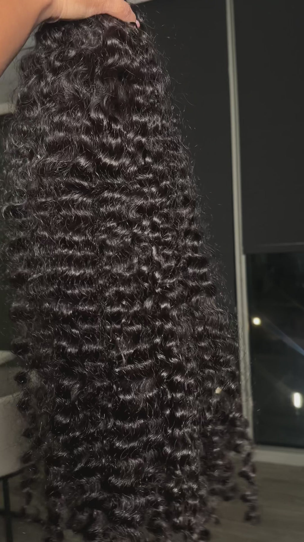 Burmese Curly